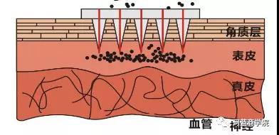 ����������Ʒ�������������������