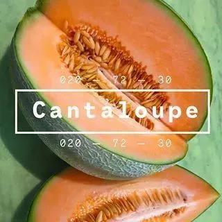 �۹ϳȡ������̡��Ž�ơ���2020����ʢ��ɫ������������ô�����԰�?