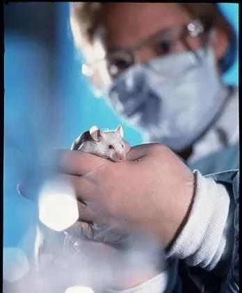 �����̫�˷��������������������춼������