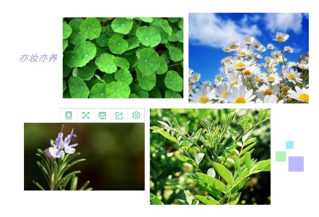 ��ɳĮ��Ƥ��ֻ֪������Ĥ?����4����Ƥ��ˮ����!