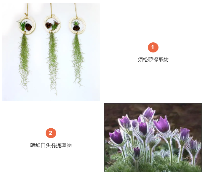 ��ɳĮ��Ƥ��ֻ֪������Ĥ?����4����Ƥ��ˮ����!