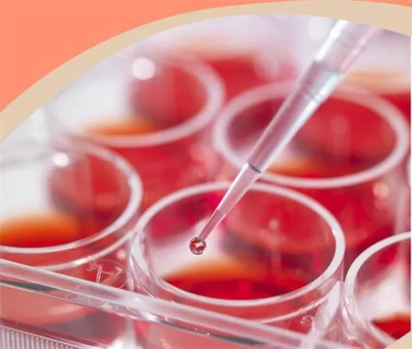 开美容院加盟店怎样提高主顾忠诚度呢?