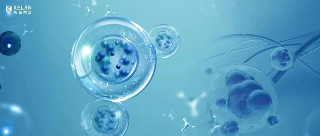 ��������������������ȷ��ϸ�������������������������һ������